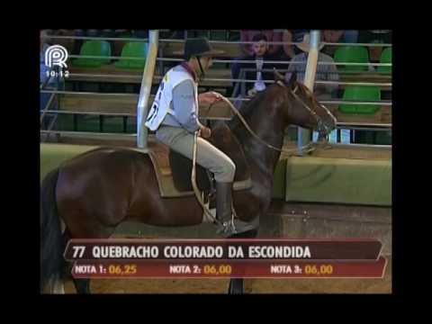 Aberta de Itu – 3° lugar machos – Quebracho Colorado da Escondida