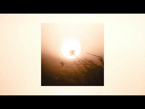 YOUR LIGHT - Brock Hewitt: Stories in Sound | The David Roy Collective