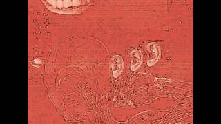 Music video thumbnail preview for Etat Brut - Psychosomatique by Etat Brut
