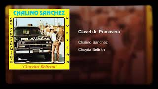 clavel de primavera chalino Sánchez