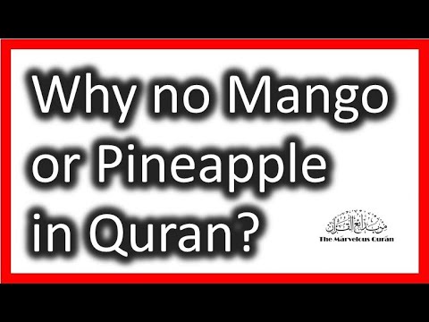 YT64 Why are only five fruit types mentioned in the Quran?What is Zikr and what do fruits represent?