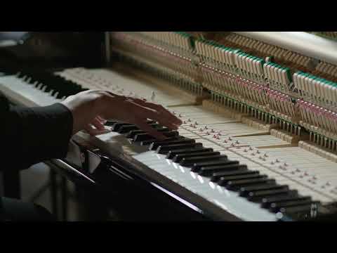 Ascension (On Felt) - Alfonso Peduto