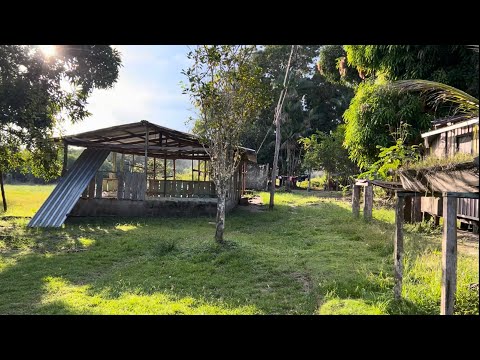 CONHEÇA MINHA COMUNIDADE INDÍGENA NO AMAZONAS 🌿🌊 | A vida na Amazônia
