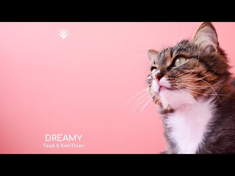 TeaA & KienThien - Dreamy