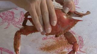 Professional Crab Cracking Techniques