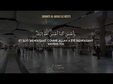 Sourate Al-Qasas, Verset 77 - Muhammad Dibirov