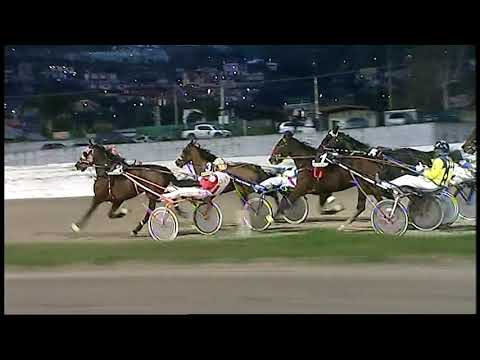 Trotto 31/12/2020 - 7ª corsa