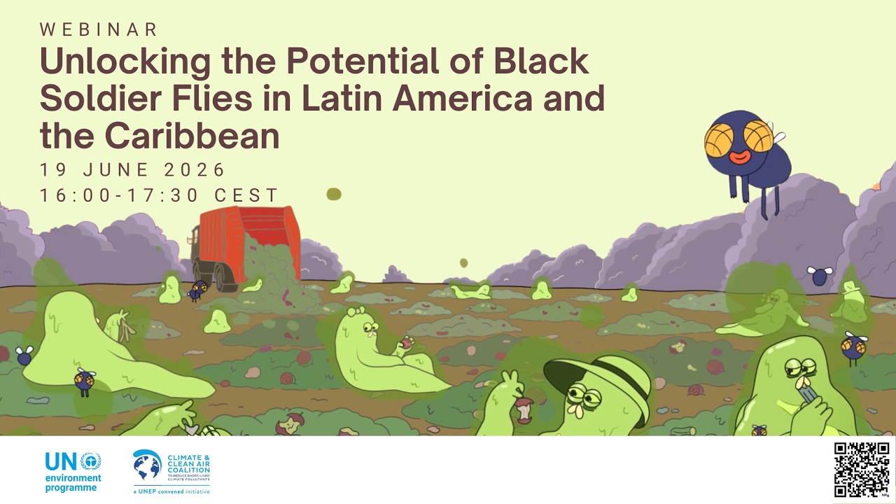 Webinar: Unlocking the Potential of Black Soldier Flies in Latin America and the Caribbean