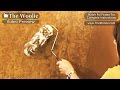 Short Clips Rag Roller Painting Technique by The Woolie (How To Paint Walls) #FauxPainting Short Clips Rag Roller Painting Technique by The Woolie (How To Paint Walls) #FauxPainting