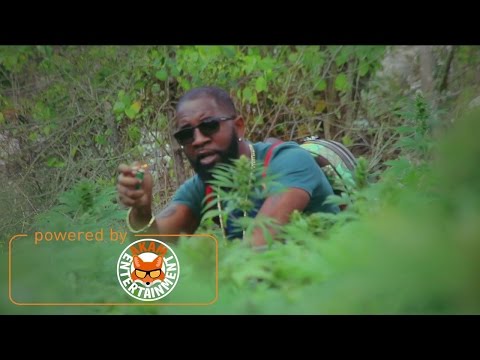 Dre Zee - Blaze Up [Official Music Video HD]