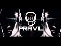Animals V S Say Shava Shava Mashup DJ PRAVIL