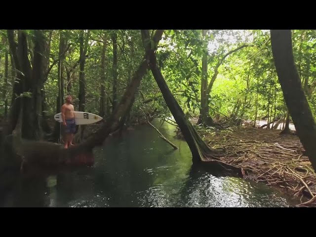 A QUICK DOSE OF TAHITIAN SEDUCTION | SURFER Films