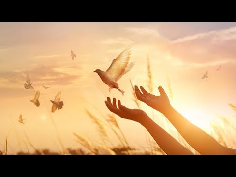 Manu Negrea | Ne-om vedea la rapire