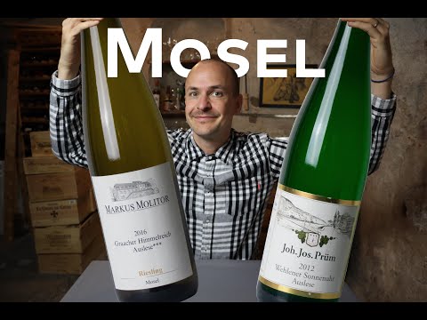MOSEL - WINE IN 10
