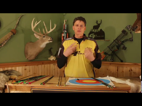 How To Choose The Perfect Hunting Arrow For You - Pro Tips For Picking The Best Arrow for Your Hunts