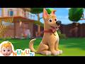 B I N G O NuNu TV Nursery Rhymes Kids Songs