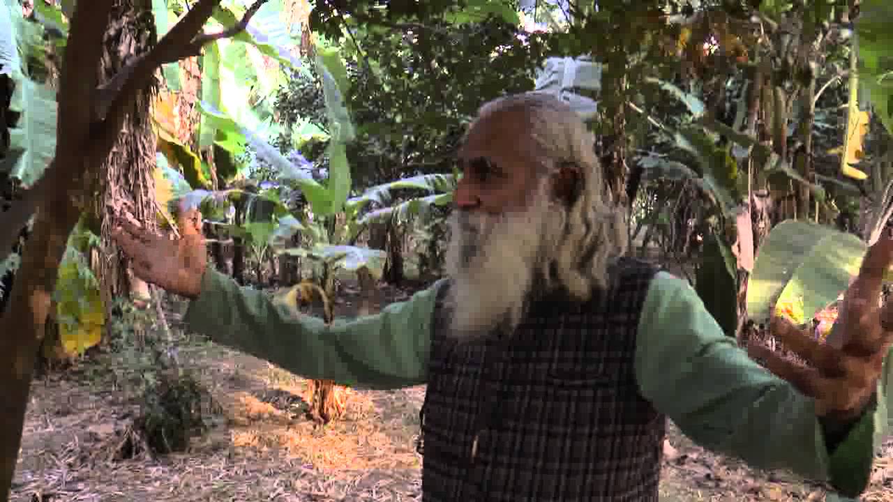 कृषि तीर्थ बजवाडा