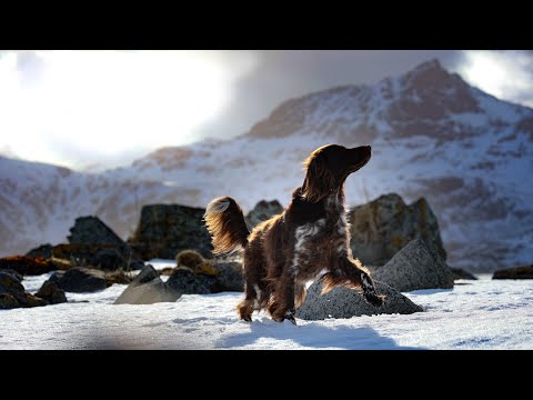 Road Trip to Lofoten Islands, Norway (April/May 2022)