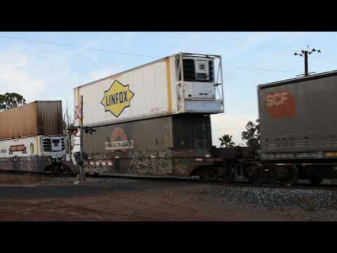 Freight Train (5PM5)