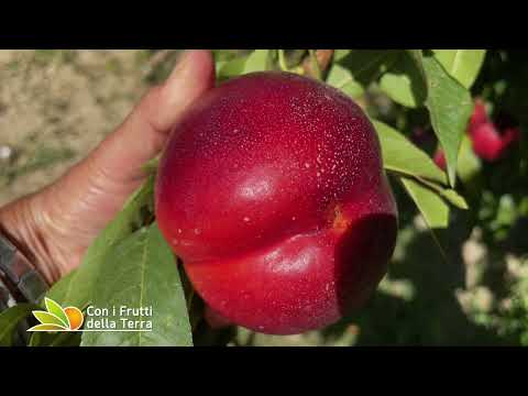 A Cielo Aperto 14/8/2022 - 3° parte