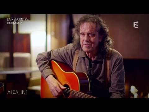 Alcaline, le Mag : Rencontre avec Donovan
