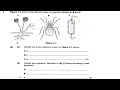 2024 Biology Paper 2 Exam Revision Jam Start