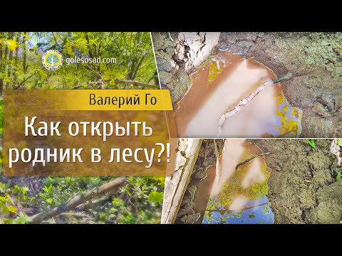 Как открыть родник в лесу?!