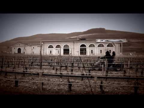 JAMESSUCKLING.COM - 2012 Harvest Video: Romano Dal Forno