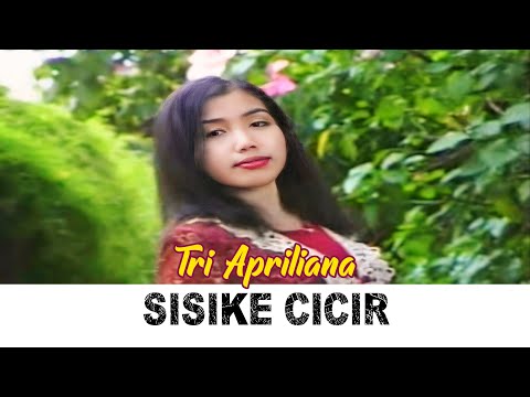 Tri Apriliana - SISIKE CICIR  |   Kendang Kempul Banyuwangi