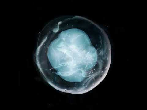 A Winged Victory for the Sullen - The Undivided Five (Full Album)