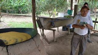 Making Cassava Flour in the Amazon