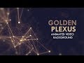 Motion Background Plexus Moving Animated Lines HD Backdrop