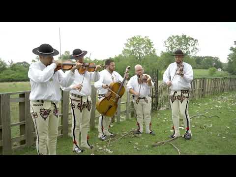 Kapela Hajducy - Powiedz Powiedz