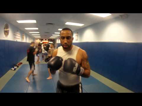 Go Pro Pad work with Ray