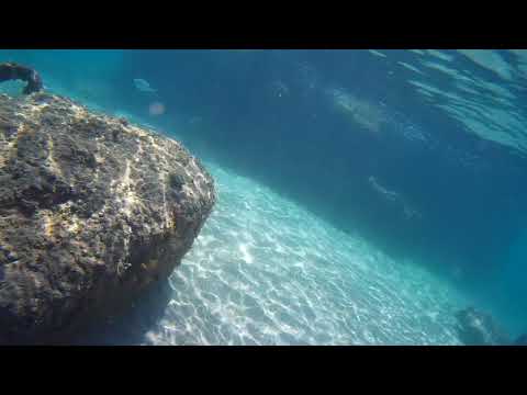 2020 0624 135456 019A