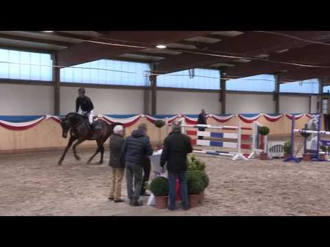 Hengstpräsentation 2017 - Calinello mit Dirk-Heiner Strobel