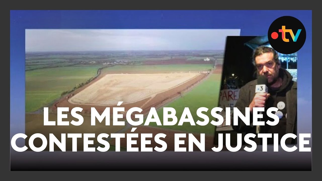 La justice annule les mégabassines comme celle de Sainte-Soline pour protéger l'outarde canepetière