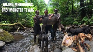 Download lagu ANJING EDEN TUMBANGKAN BABI MONSTER // TERUS BAKAR  DAN MAKAN DI PINGGIR SUNGAI mp3