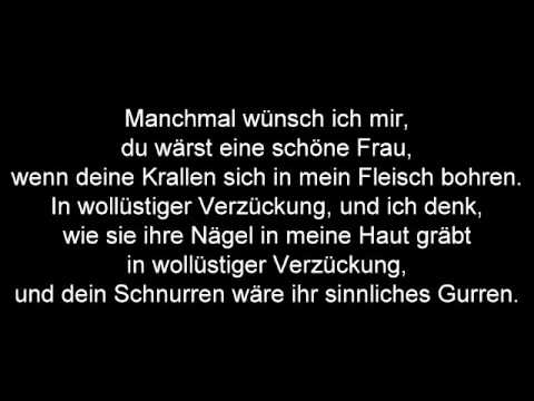 Michael Thilo Amft - Feline