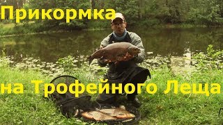 Прикормка летом на леща