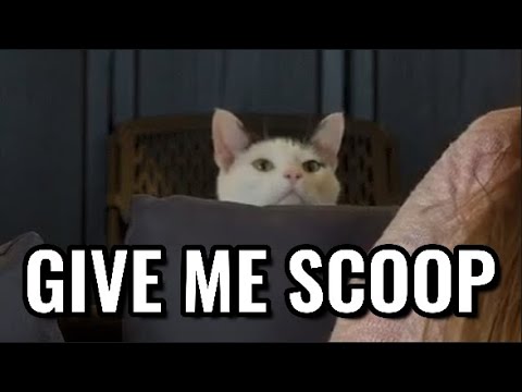 Kepler always could make @stephenplays and @MalMakes laugh 🤍