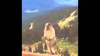 Bonk.io - skin de fantasma - 123vid