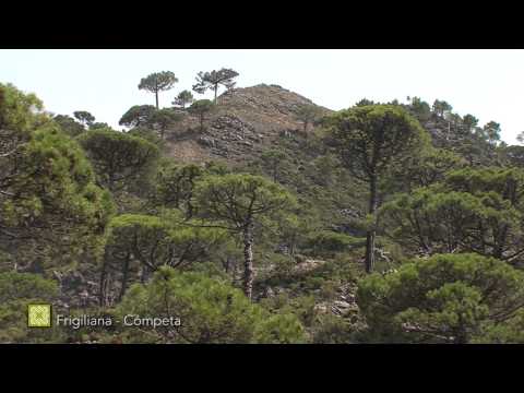 Der Groe Wanderweg Mlagas. Etappe 6: Frigiliana - Cmpeta (Deutsch)