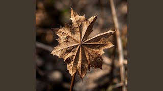 Download lagu Roman Picisan mp3