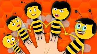 Finger Family Bee | Nursery Rhymes | Baby Songs | Kids Rhymes | kids tv cartoons