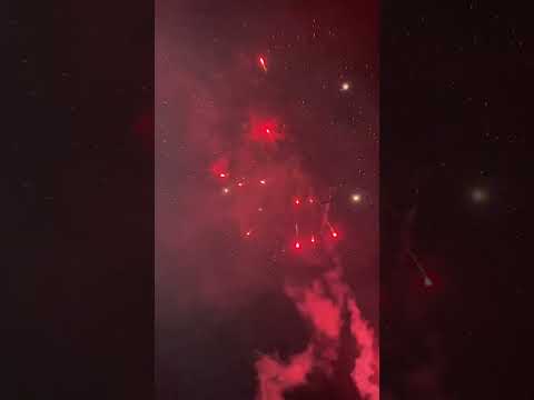 TXB 869 Triplex 2021-2022