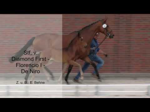 Stf v Diamond First x Florencio I x De Niro 2019