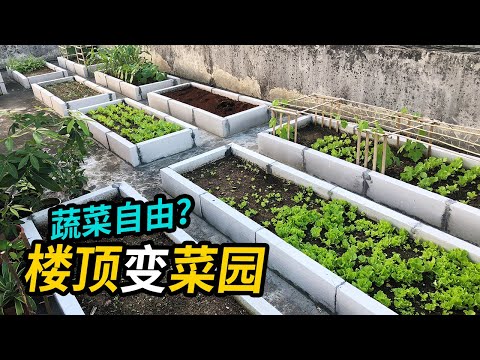 頂樓菜園設計