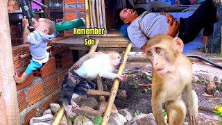Download lagu Monkey BiBi felt very sad and missed Sơn while Sơn was being treated in the hospital. mp3 Download lagu Monkey BiBi felt very sad and missed Sơn while Sơn was being treated in the hospital. mp3