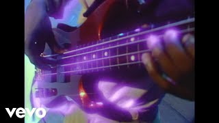 Weather Report - Swamp Cabbage